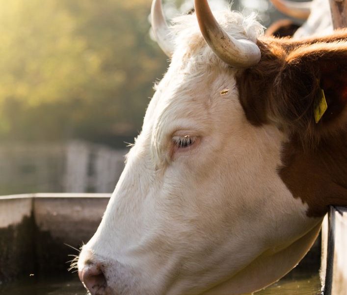 Untitled design - 2023-06-26T112137.446